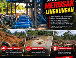 Aktivitas PETI di Tapanuli Selatan Disorot, Izin Dipertanyakan dan Lingkungan Terancam