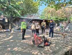 Polsek Waru Turun Langsung Tindaklanjuti Informasi Arena Sabung Ayam di Desa Bungurasih