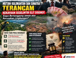 Hutan Kalimantan dan Sumatra Terus Jadi Sorotan, Pemerintah Dituntut Buka Data dan Tegakkan Hukum